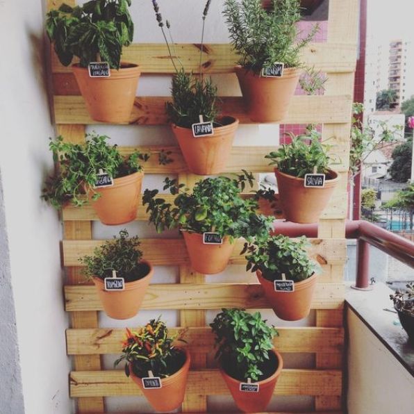 Horta vertical é uma solução para quem mora em apartamento. Foto: Pinterest